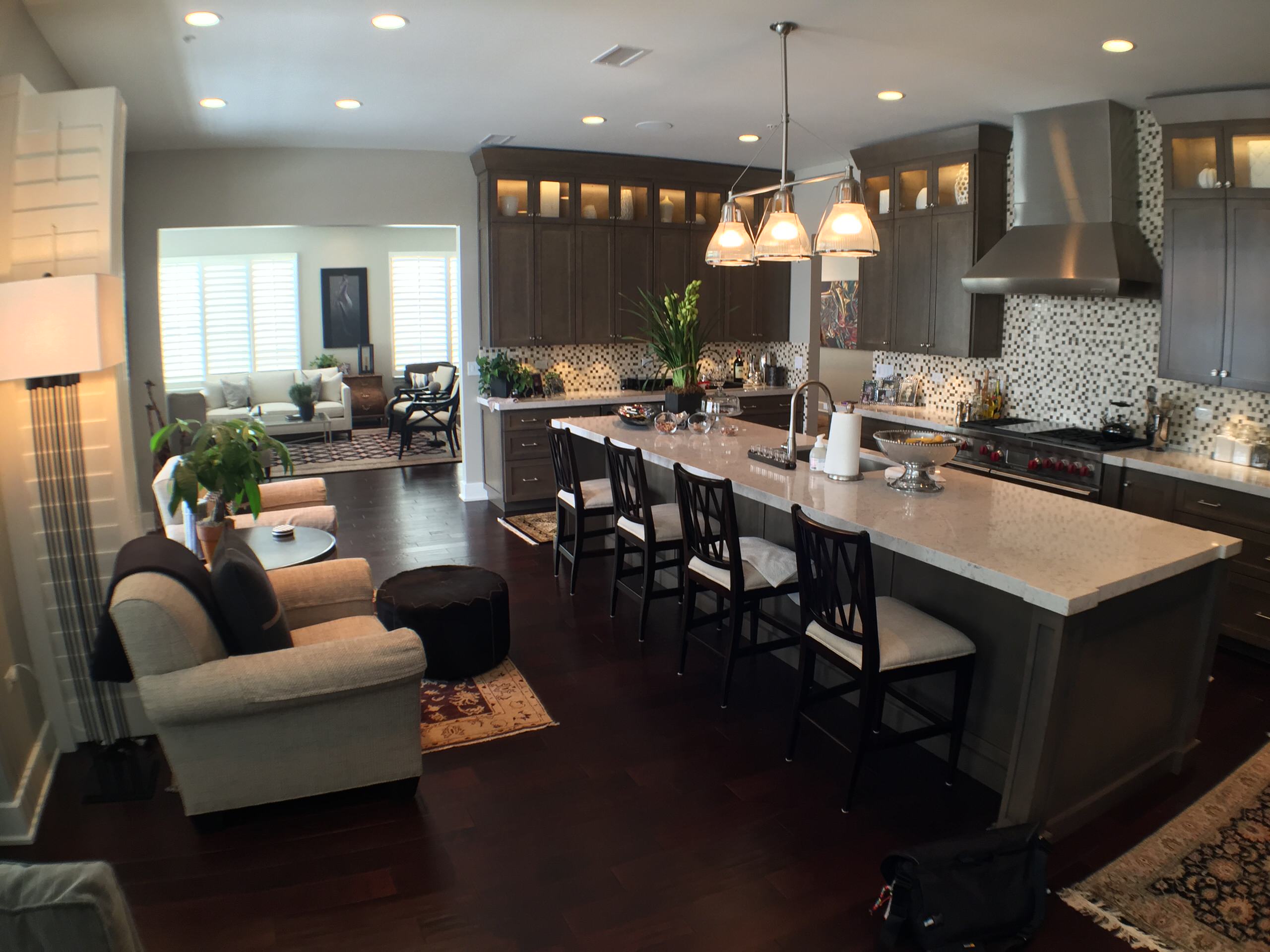 Burr Ridge IL Repeat Client Condo Downsizing (4)