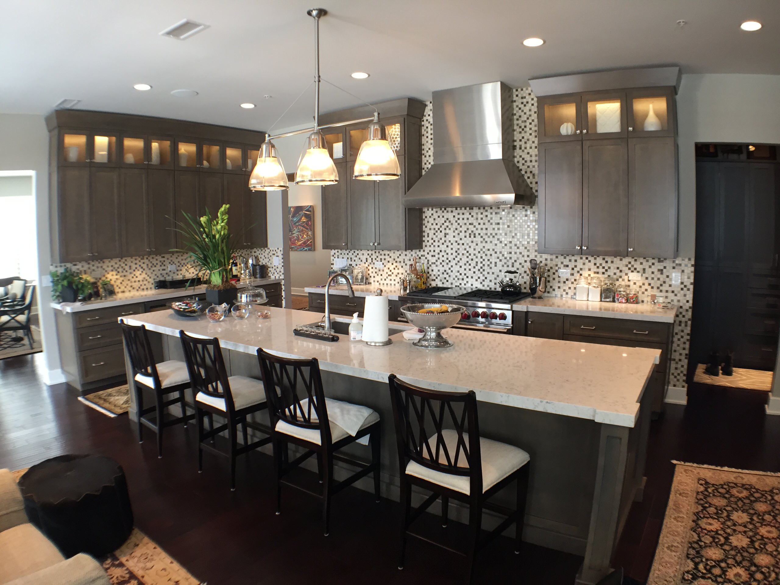 Burr Ridge IL Repeat Client Condo Downsizing (5)
