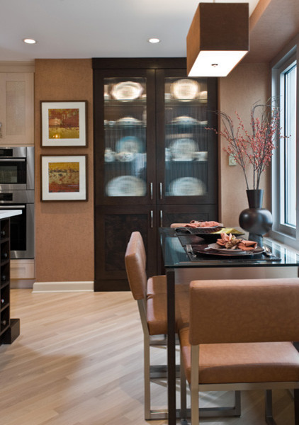 Chicago IL High Rise Residence (2)