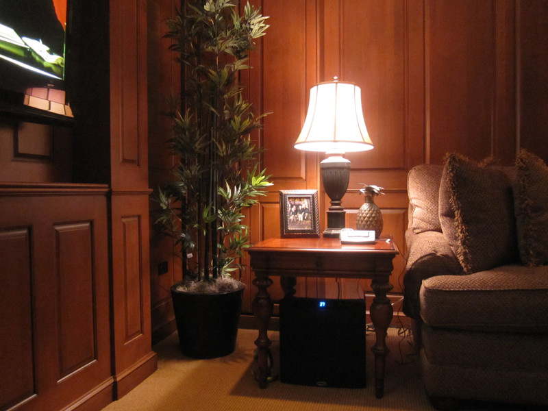 Hinsdale IL Basement & Family Rm (4)