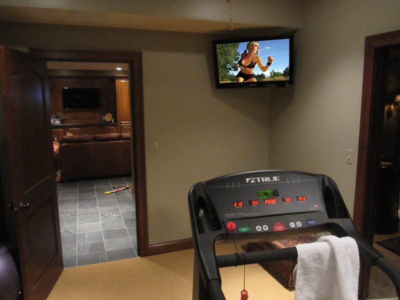 Hinsdale IL Basement & Family Rm (7)