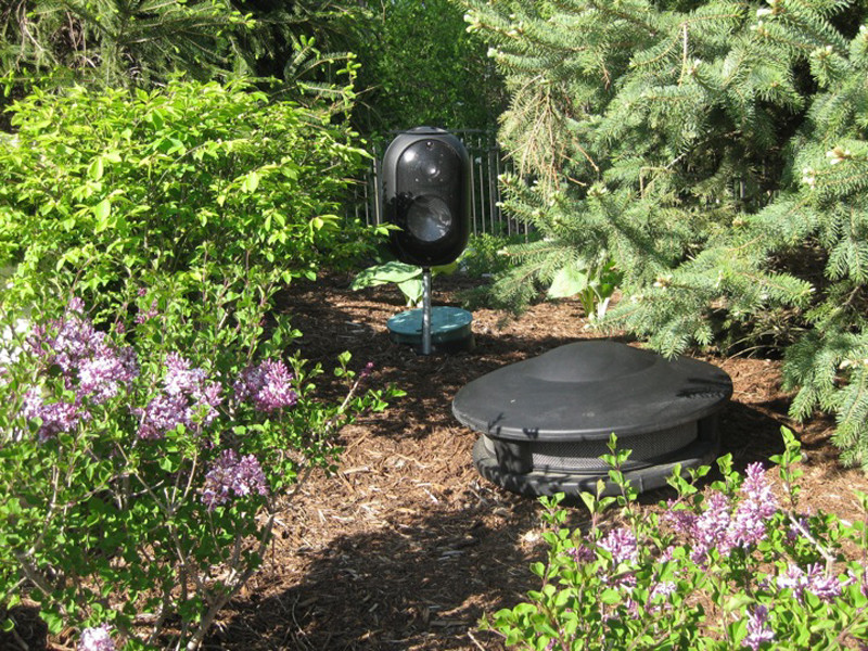 Lemont, IL Pool, Patio, Putting and More (14)